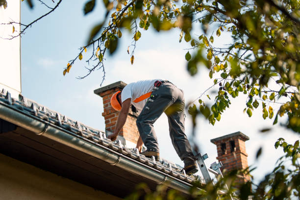 Best Roof Repair Services  in Emerd Mountain, AL